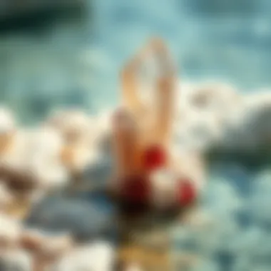 Magnificent Aqua Marine Crystals: An Exploration of Their Nature and Significance Magnificent Aqua Marine Crystals: An Exploration of Their Nature and Significance