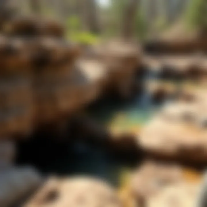 Magnificent Coleman Mines Hot Springs in Arkansas: A Geological Exploration