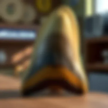Magnificent Purchasing a Megalodon Tooth: A Comprehensive Guide