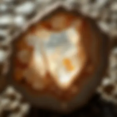 Magnificent The Multifaceted Nature of Quartz: An In-Depth Exploration Magnificent The Multifaceted Nature of Quartz: An In-Depth Exploration