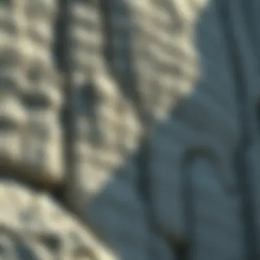 Magnificent Understanding Limestone: Types and Characteristics Magnificent Understanding Limestone: Types and Characteristics