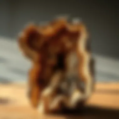 Magnificent Understanding the Pricing of Petrified Wood Magnificent Understanding the Pricing of Petrified Wood
