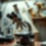 A Comprehensive Guide to Buying a Microscope Near You Introduction