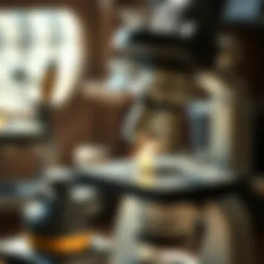 A Comprehensive Guide to Buying a Microscope Near You Summary A Comprehensive Guide to Buying a Microscope Near You Summary