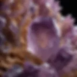 A close-up view of a raw amethyst crystal showcasing its vibrant purple hue and natural facets.