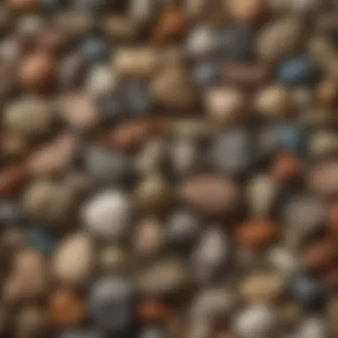 A collector's display of various rock types highlighting their beauty