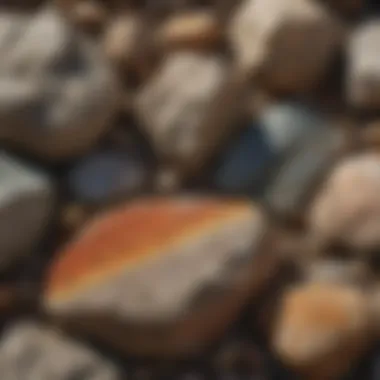 Metamorphic rock displaying unique foliation and mineral alignment