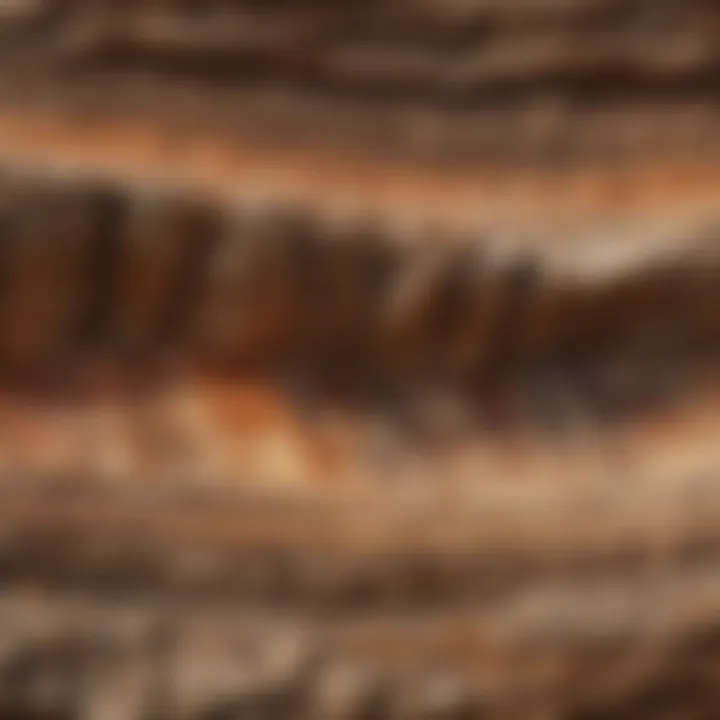 Layered sedimentary rocks with visible stratification