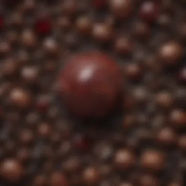 Enigmatic Allure: Anthill Garnet's Charm Among Collectors Anthill Garnet's Appeal to Collectors