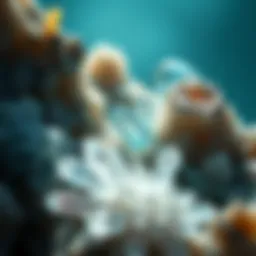 Aqua Marine Crystals: An Exploration of Their Nature and Significance Introduction