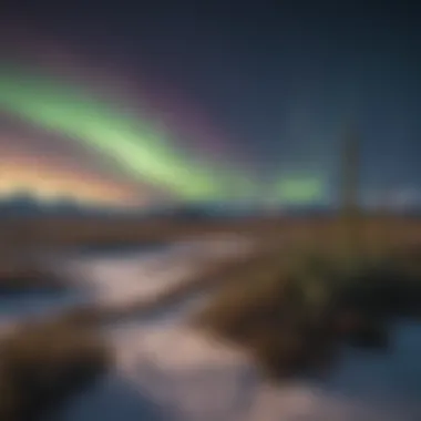 Aurora Borealis Over Alaskan Tundra