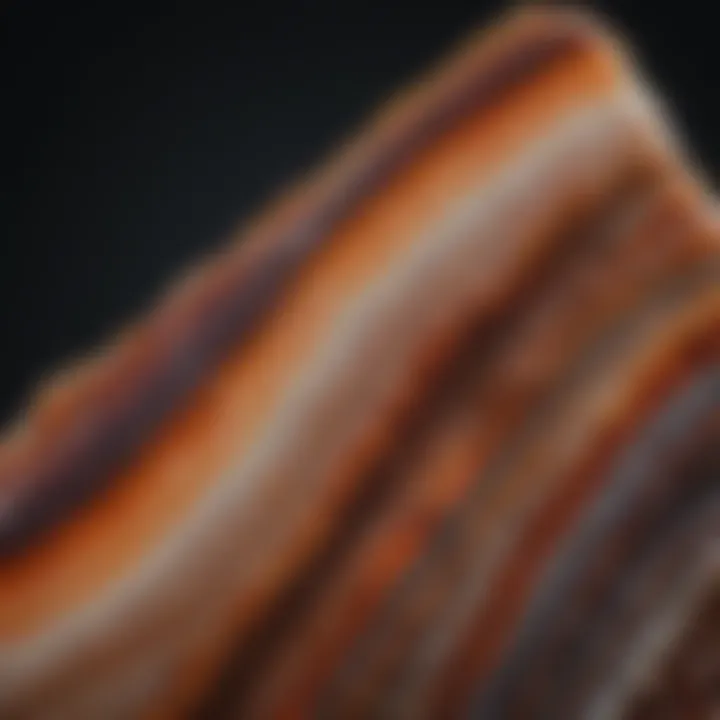 Banded Agate Layers Close-up