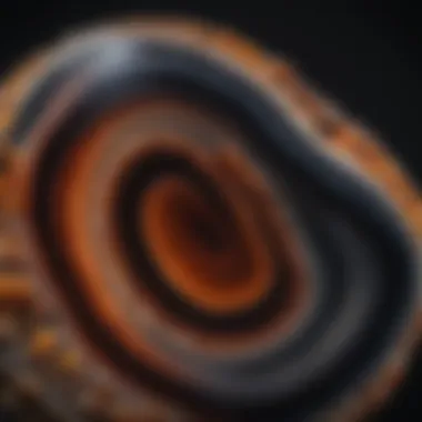 Close-up view of the mesmerizing banding in a black agate specimen