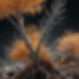 Botanical Elegance of Dendritic Agate