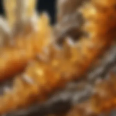 The Intricate Formation of Citrine Crystals Citrine Crystal Formation