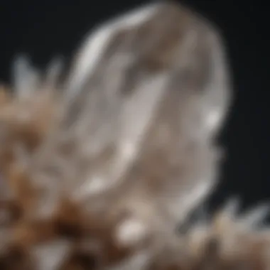 Clear Quartz Crystal Close-up of a clear quartz crystal highlighting its clarity and internal structures