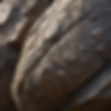 Close-up of Dremel tool polishing rock surface