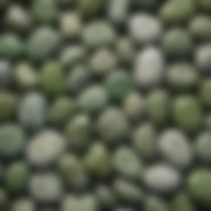 Collection of light green stones with white lines