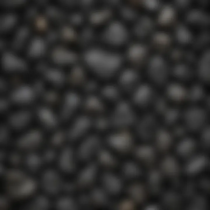 Collection of various shiny black rock specimens displayed attractively