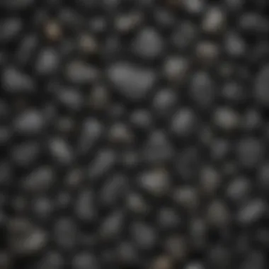 Collector's Delight: Varieties of Shiny Black Rocks Collection of various shiny black rock specimens displayed attractively