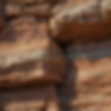 A close-up view of sedimentary rock layers revealing composition