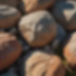Granite formations showcasing unique textures and colors