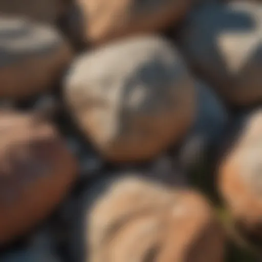 Granite formations showcasing unique textures and colors