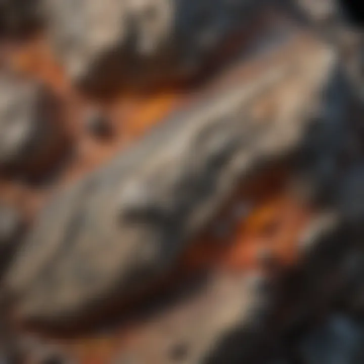 Metamorphic rock demonstrating complex mineral structures