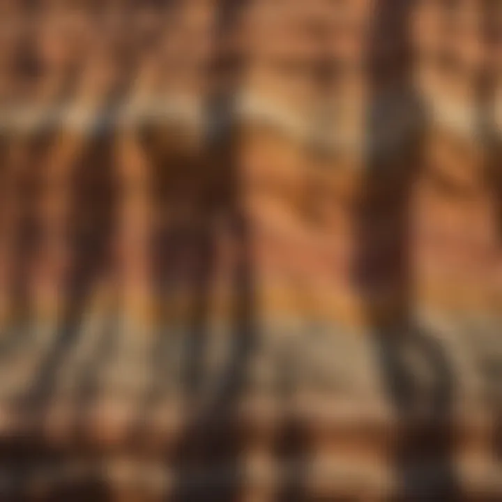 Sedimentary rock layers highlighting geological history