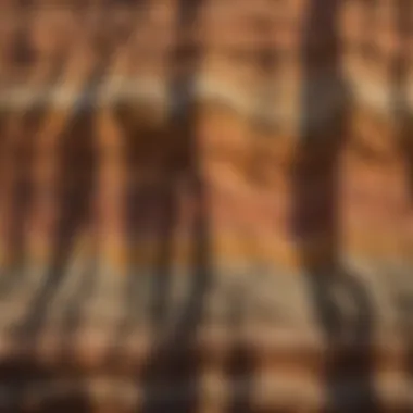 Sedimentary Rock Layers and Their Significance Sedimentary rock layers highlighting geological history