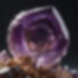 Beautifully cut amethyst quartz showcasing its vibrant purple hues