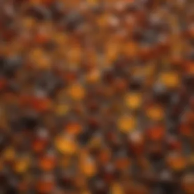 An array of different types of amber displayed to highlight their varied colors and textures.