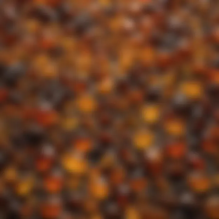 An array of different types of amber displayed to highlight their varied colors and textures.