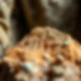 Comprehensive Guide on Utilizing Polishing Compound for Rock and Fossil Collecting Introduction