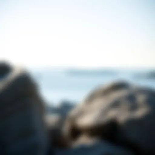 Comprehensive Guide to Lake Superior Rock Identification Introduction