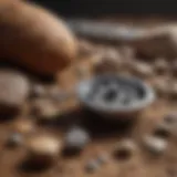 Essential tools for rockhounding
