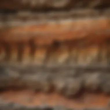 A geological cross-section illustrating different rock layers and their formations.