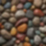 A stunning collection of various rocks showcasing unique textures and colors.