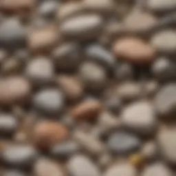 Close-up of various rocks and minerals arranged on a surface for scratch testing