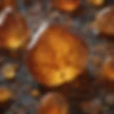 Close-up of copal amber with natural inclusions