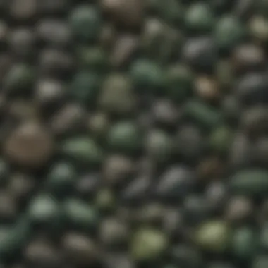 Comparison chart displaying various dark green rock types and their distinguishing features