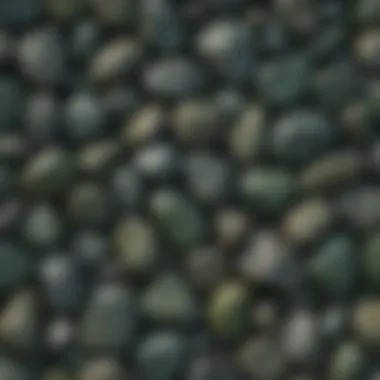 Field image illustrating dark green rocks in their natural geological setting