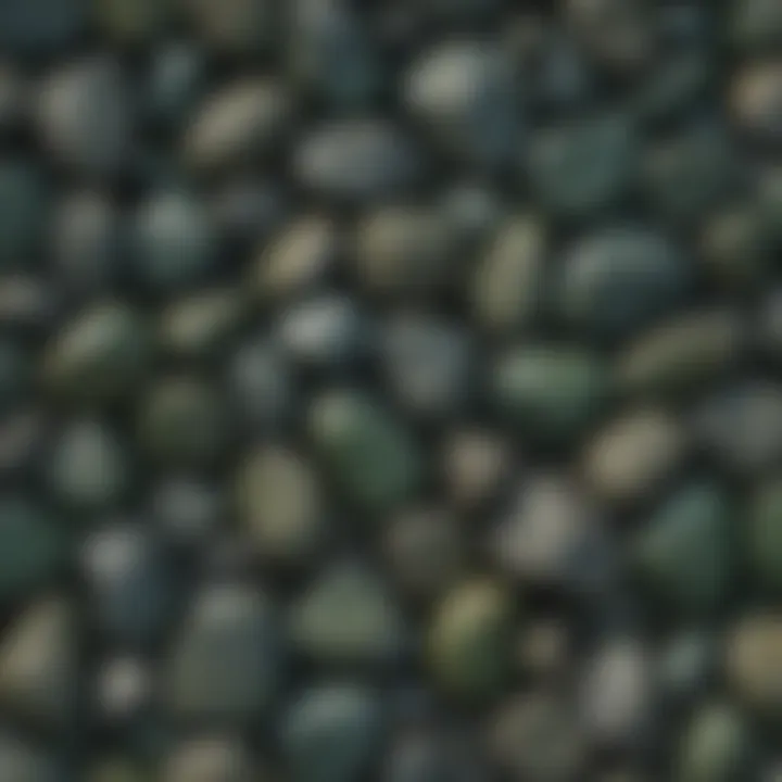 Field image illustrating dark green rocks in their natural geological setting