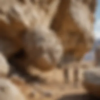 Unveiling the Complex Structure of a Limestone Formation Detailed Structure of Limestone Formation Magnified