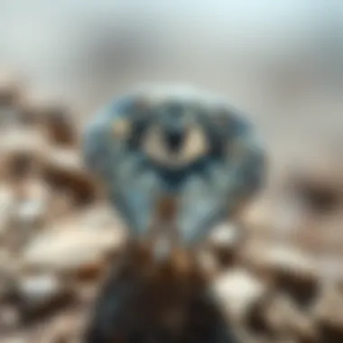 Notable Diamonds on the Rocks: A Geological Journey Notable Diamonds on the Rocks: A Geological Journey