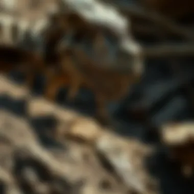Notable Dinosaur Bone Digging: An In-Depth Exploration Notable Dinosaur Bone Digging: An In-Depth Exploration