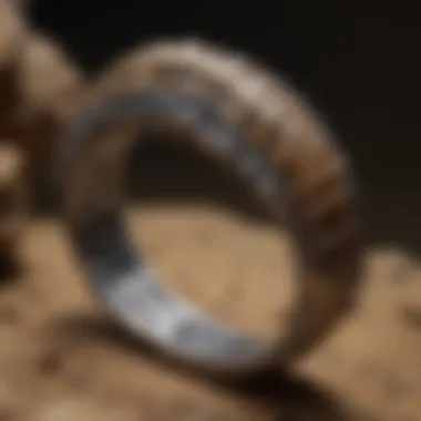 Rare Dinosaur Fossil Bracelet