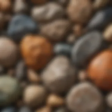 A close-up view of different types of rocks displaying varied textures and colors