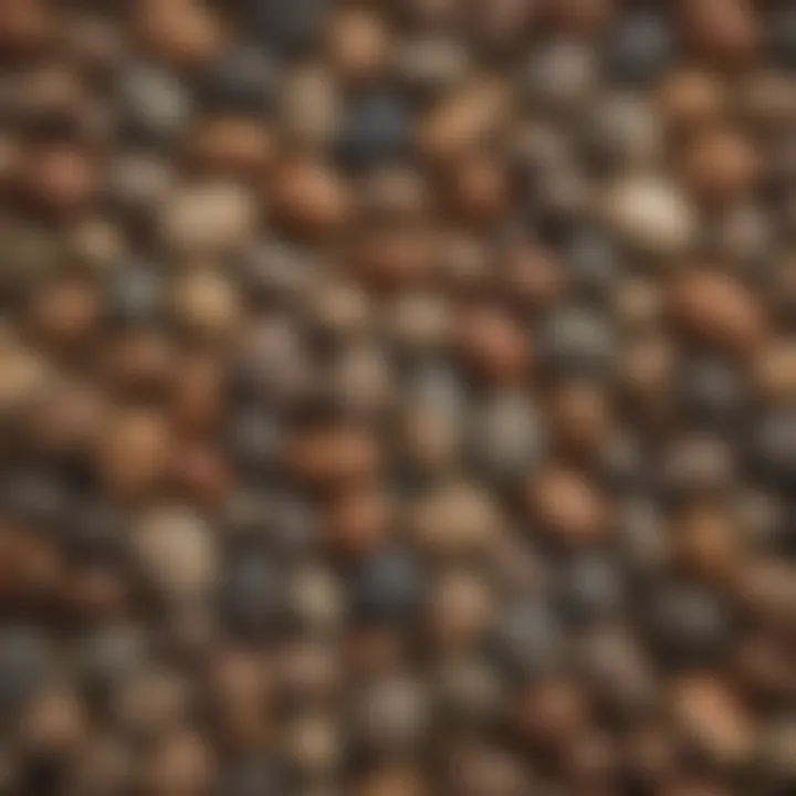 Variety of bulk palm stones displayed on a wooden surface