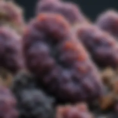 Diverse Uses of Grape Agate